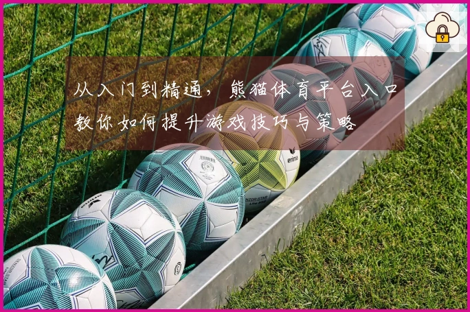 从入门到精通，熊猫体育平台入口教你如何提升游戏技巧与策略