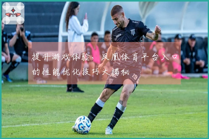 提升游戏体验，凤凰体育平台入口的性能优化技巧大揭秘