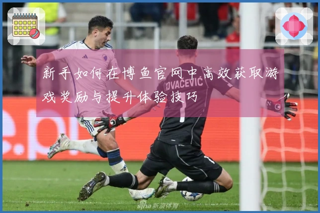 新手如何在博鱼官网中高效获取游戏奖励与提升体验技巧